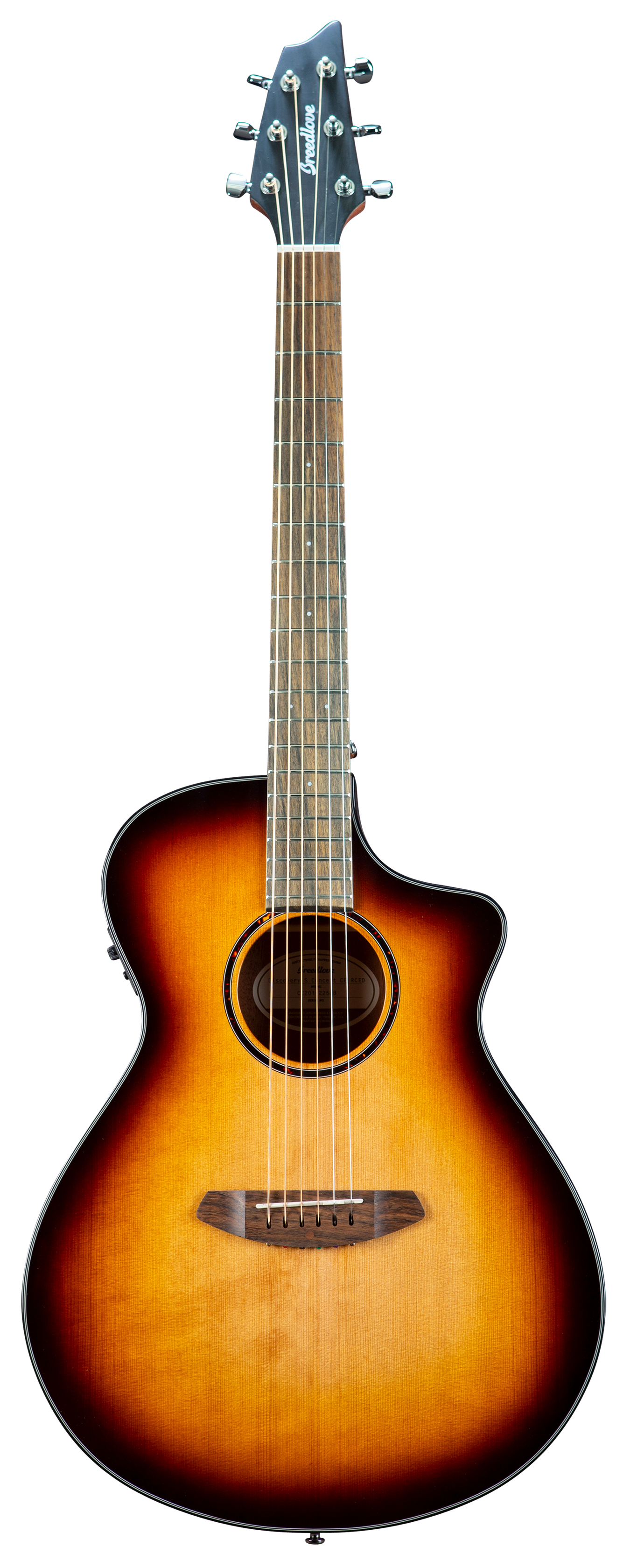 breedlove focus se ブリードラブ The 30th Anniversary Focus SE