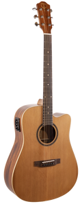 Teton STS105CENT Acoustic Guitar W/G.B