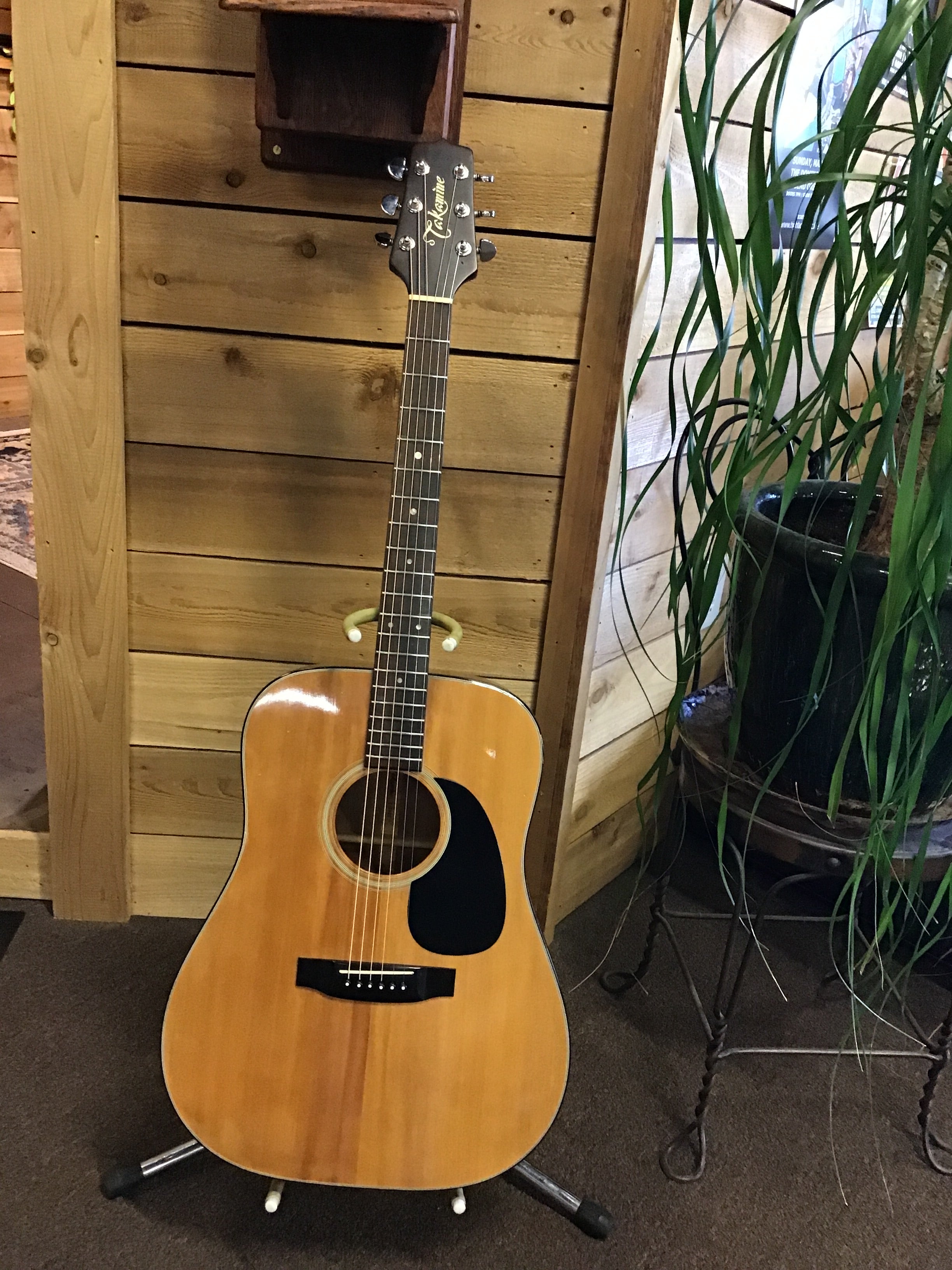 Takamine 12-String F385 W/HSC Used