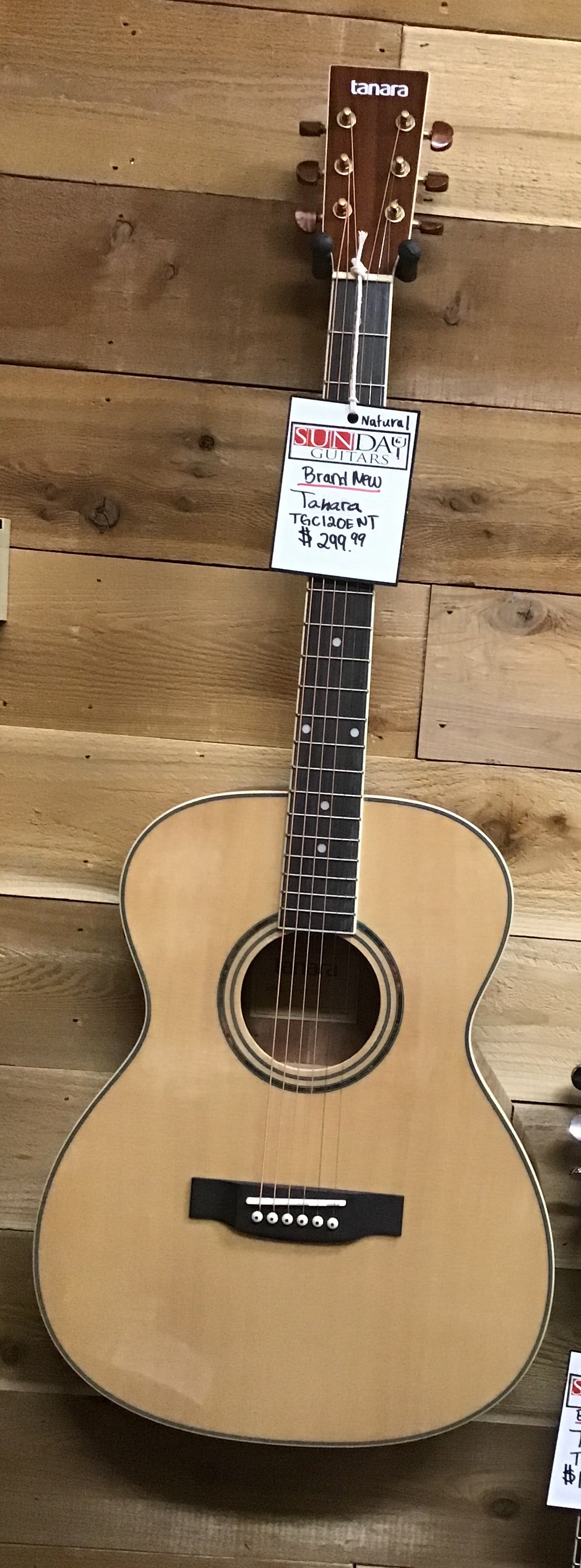 Tanara TG120ENT Acoustic Guitar