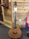 Breedlove ABJ25CRS Plus 5 String Bass w/OHSC USED