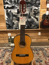 Tanara TC12NT Acoustic Guitar Used