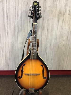 Rogue Mandolin Used