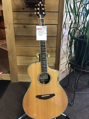 Breedlove AC250 SR Plus Acoustic Guitar w/OHSC  USED