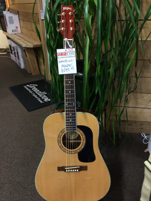 Washburn AG24S Acoustic Guitar Used