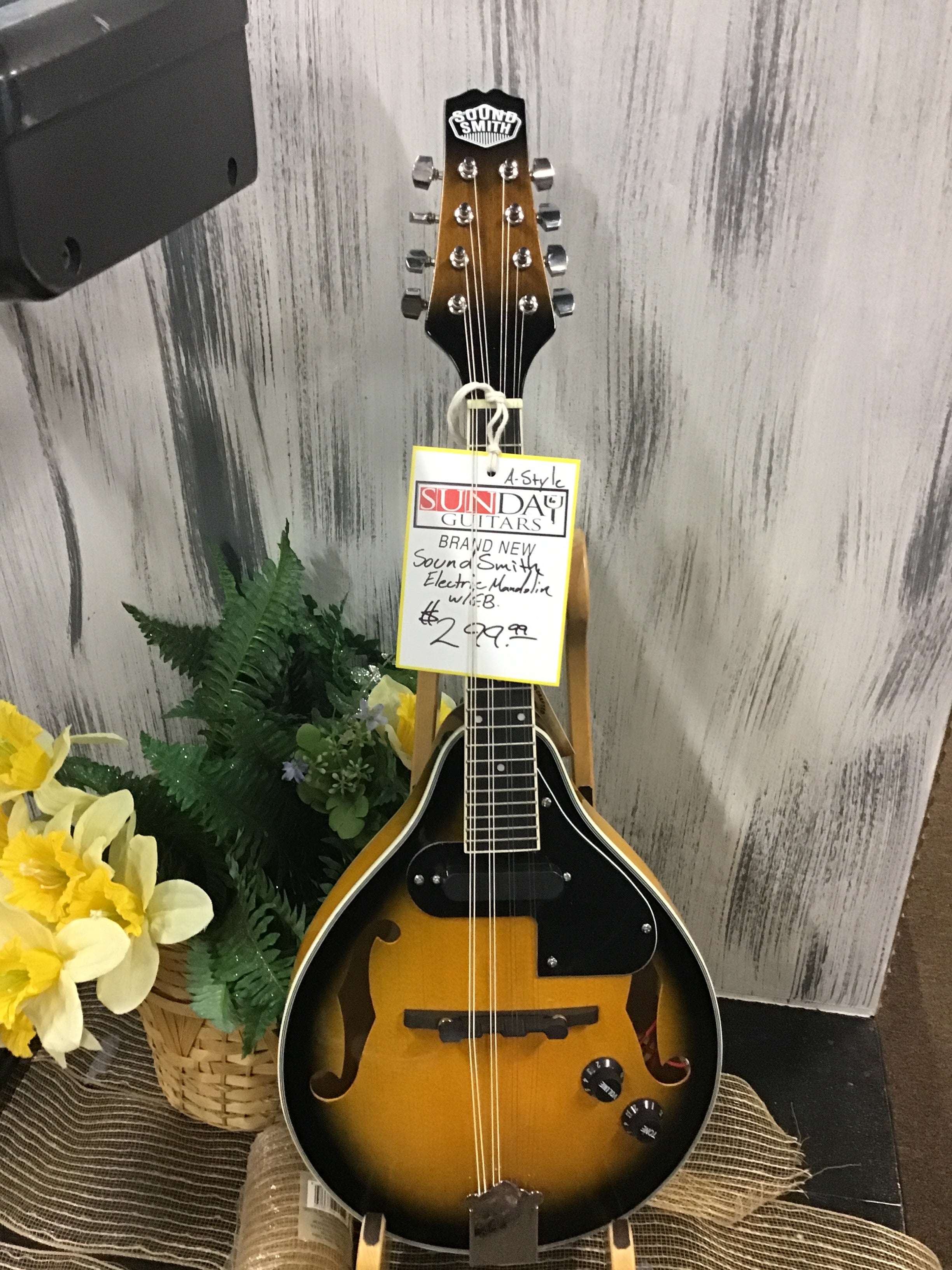 Sound Smith Electric Mandolin w/GB