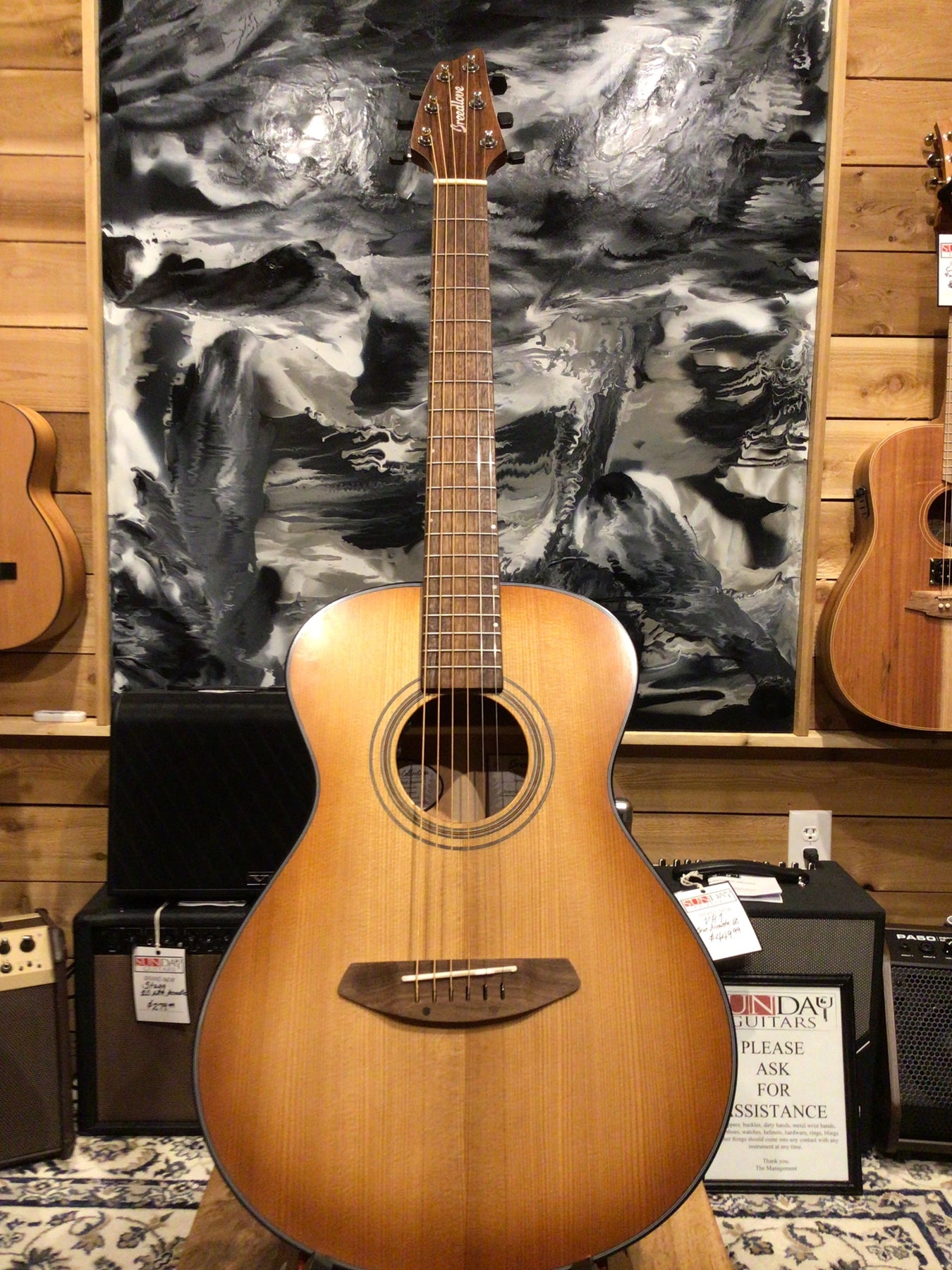 Acoustic Guitars Sunday Guitars