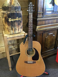 Seagull Coastline 512 Cedar Used