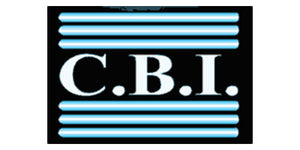 CBI CB2S11 Mono Input Jack